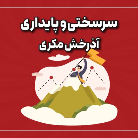 سر‌سختی و پایداری